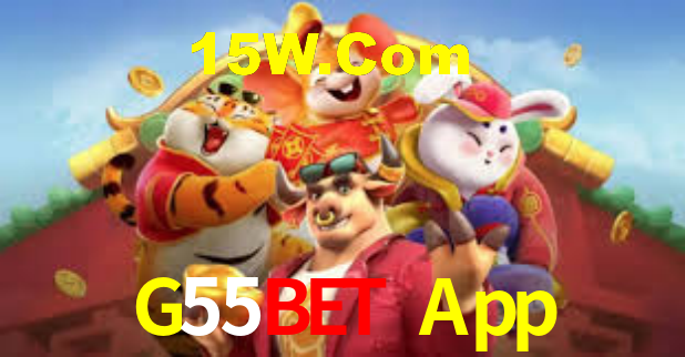 Segurança e privacidade no APP G55Bet App